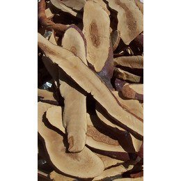 Dried Sliced Reishi USA