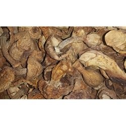 Agricus Blazei Murrill Mushrooms