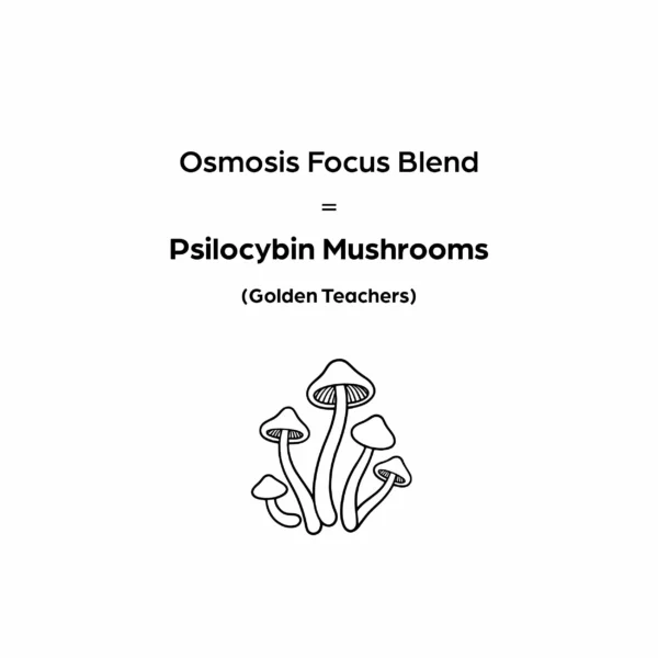 Osmosis – Focus - Image 2